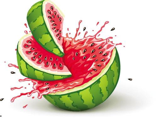 幼儿吃瓜音乐,音乐律动共成长