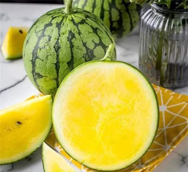 AI吃瓜有多强,揭秘智能时代的“吃瓜”能力