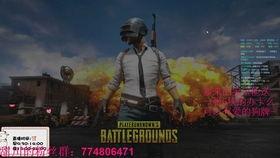 吃鸡瓜妹,瓜妹带你领略吃鸡游戏魅力